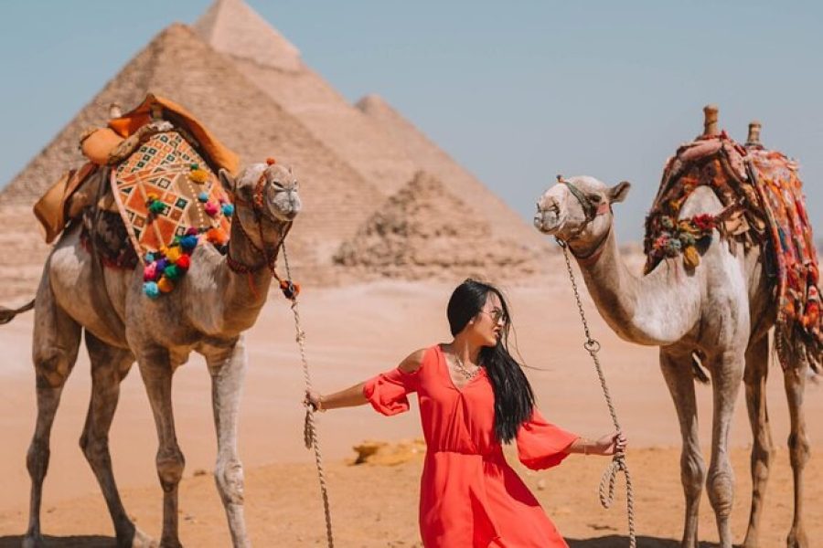 Caïro: Egyptische museum, primamides van Gizeh, ontmoet sfinx