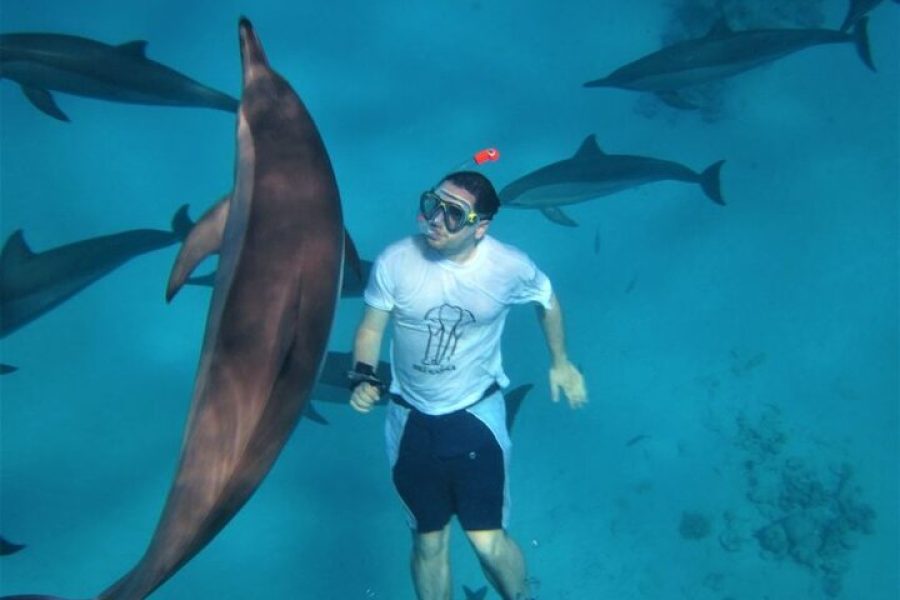 Snorkeltrip naar Dolphin House