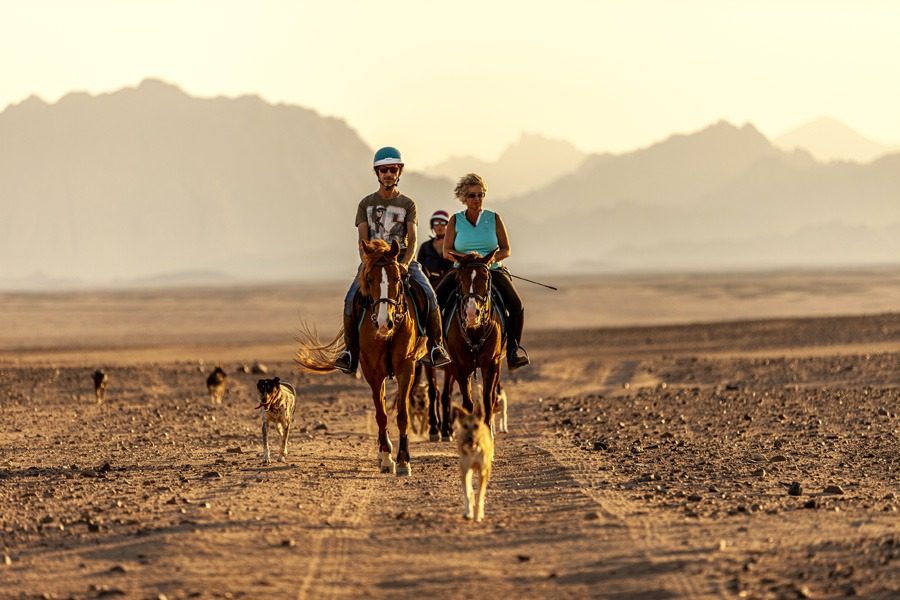 Paardrijden door de woestijn en aan het strand – een unieke belevenis
