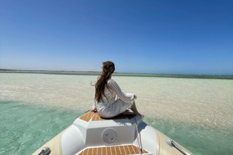 Privé speedboot trip: incl. dolphin house en white island