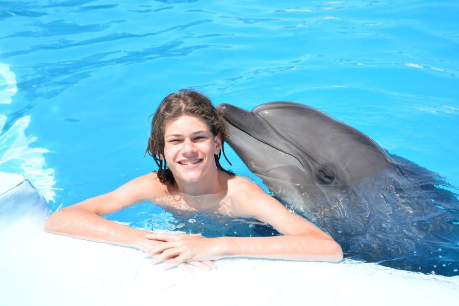 Bezoek Dolphin Makadi World – Een dag vol waterpret en show beleving!