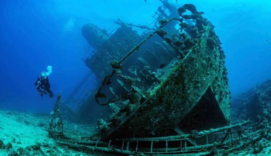 De Verborgen Wereld van de Rode Zee: Van Scheepswrakken tot Ongerepte Koraaltuinen – Een Duikersgids (2026)