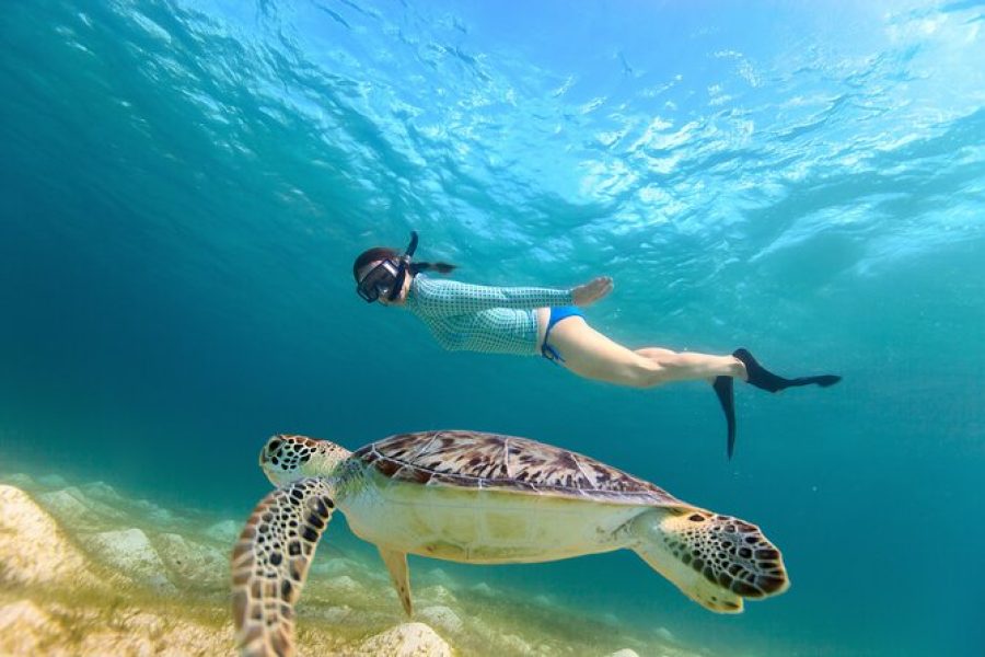 Dagtrip Abu Dabbab – Snorkelen met schildpadden